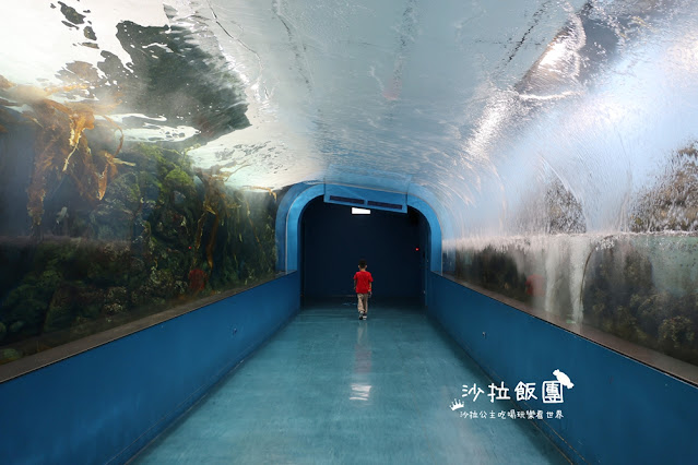 全台最頂級夜宿水族館!桃園和逸Blu Night宿海奇遇》Xpark住一晚 36 全台最頂級夜宿水族館!桃園和逸Blu Night宿海奇遇》Xpark住一晚