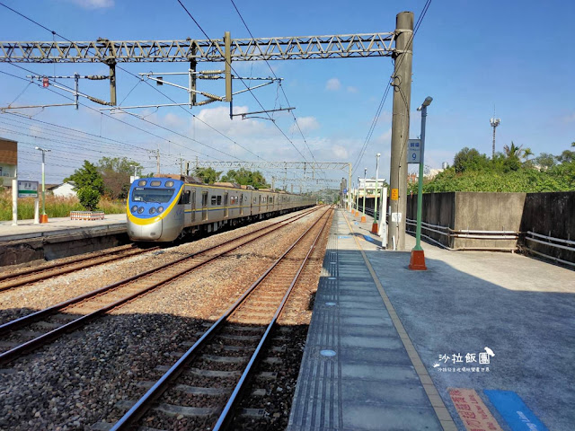 銅鑼杭菊搭火車也可以賞花!!交通指引 6 銅鑼杭菊搭火車也可以賞花!!交通指引