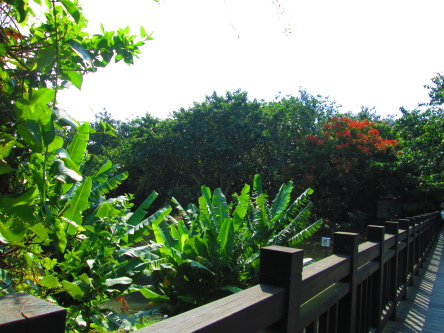 IMG_2669.jpg IMG_2669.jpg