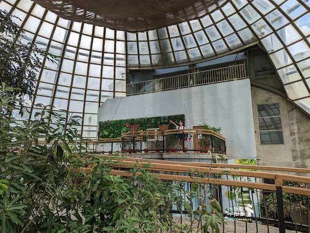 嘉義親子景點『新嘉大昆蟲館』全球唯一旋轉彩蝶柱、蝴蝶溫室花園 50 嘉義親子景點『新嘉大昆蟲館』全球唯一旋轉彩蝶柱、蝴蝶溫室花園