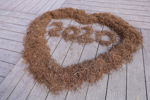 宜蘭三星景點『三星落羽松秘境』安農溪旁/宜蘭落羽松 13 宜蘭三星景點『三星落羽松秘境』安農溪旁/宜蘭落羽松