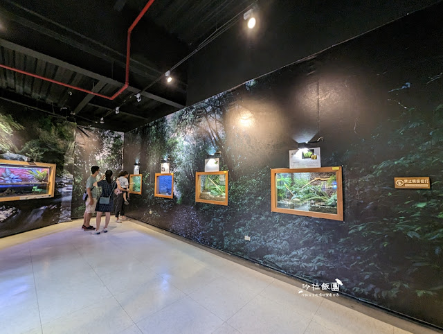 嘉義親子景點『新嘉大昆蟲館』全球唯一旋轉彩蝶柱、蝴蝶溫室花園 51 嘉義親子景點『新嘉大昆蟲館』全球唯一旋轉彩蝶柱、蝴蝶溫室花園