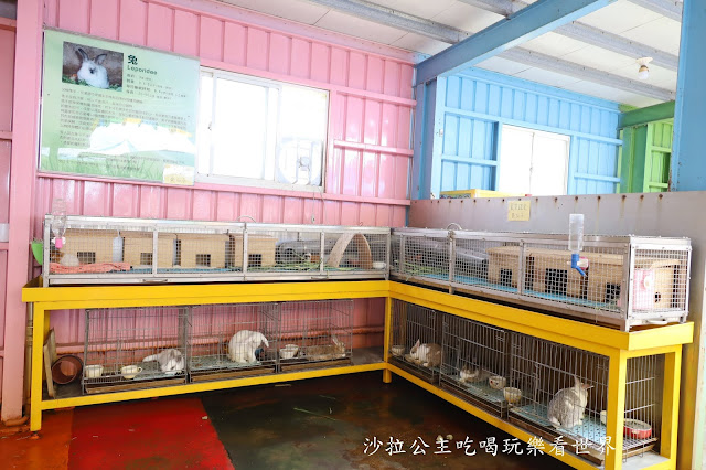 宜蘭礁溪景點『水鹿咖啡親子餐廳』迷你馬.水鹿.沙坑.小火車.賽車場.菜單 41 宜蘭礁溪景點『水鹿咖啡親子餐廳』迷你馬.水鹿.沙坑.小火車.賽車場.菜單