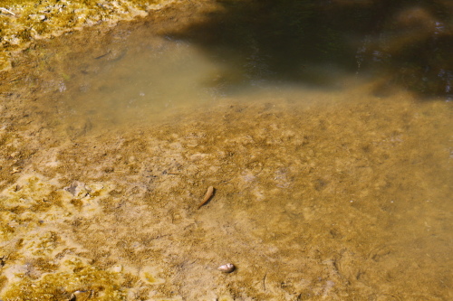 IMG_1167.jpg IMG_1167.jpg