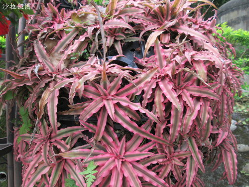 台北自來水源區「公館站」 26 台北自來水源區「公館站」