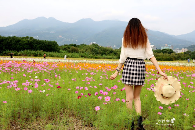 免費入場【2021愛戀關渡花現幸福】5公頃大片花海,北投景點 42 免費入場【2021愛戀關渡花現幸福】5公頃大片花海,北投景點