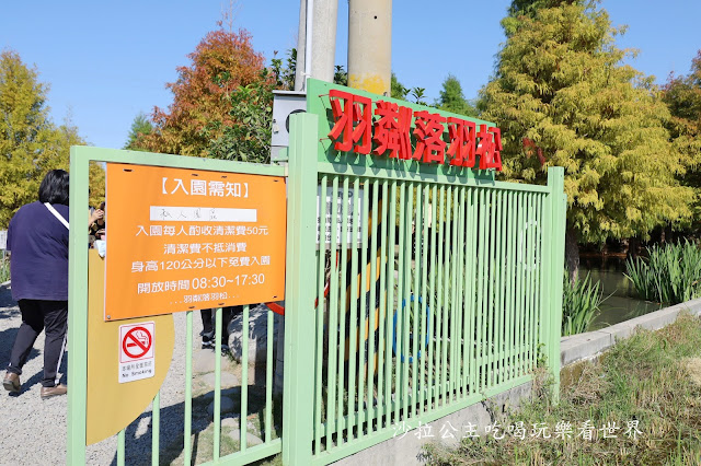 台中落羽松.后里泰安落羽松秘境『羽粼落羽松』裝置藝術像走到畫裡 15 台中落羽松.后里泰安落羽松秘境『羽粼落羽松』裝置藝術像走到畫裡