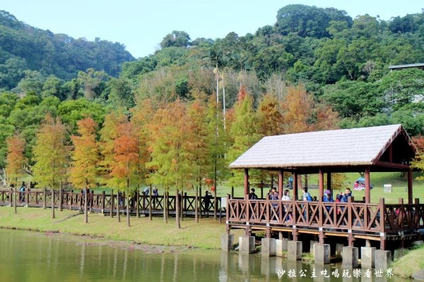 IMG_2767.JPG IMG_2767.JPG