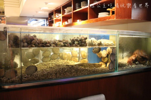 IMG_1803.JPG IMG_1803.JPG