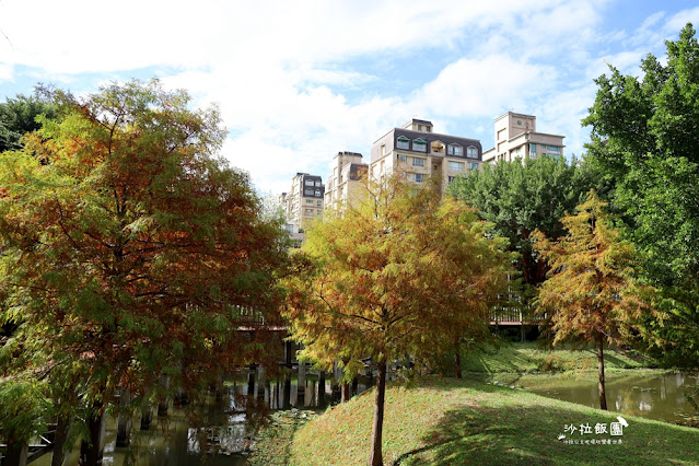北投奇岩一號公園、落羽松、共融式兒童遊樂場、生態池 33 北投奇岩一號公園、落羽松、共融式兒童遊樂場、生態池