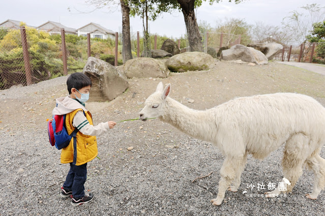 暑假照樣玩翻天、不加價！宜蘭最美親子飯店「綠舞」春夏旅展限時開搶，最低 37 折！早鳥訂房再加碼