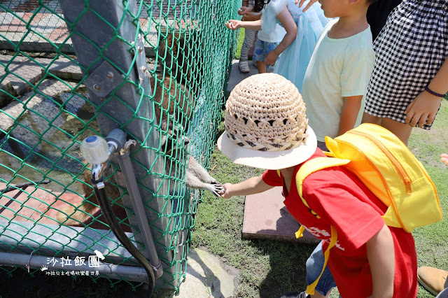 2500坪超狂親子民宿『親水89饗樂民宿』餵浣熊.溜羊.餵魚.餵兔子/大型磨石子溜滑梯/特斯拉充電站/有電梯 73 2500坪超狂親子民宿『親水89饗樂民宿』餵浣熊.溜羊.餵魚.餵兔子/大型磨石子溜滑梯/特斯拉充電站/有電梯