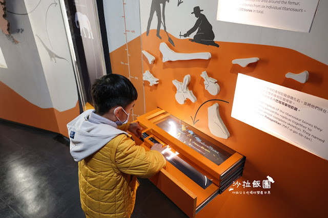 世界最大級史前巨獸37公尺長泰坦巨龍，震撼登台！