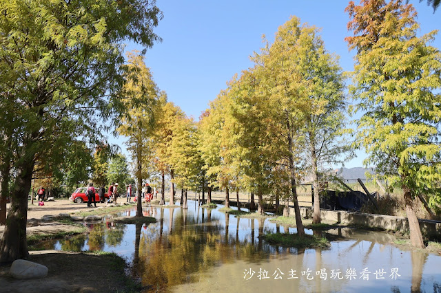 台中落羽松.后里泰安落羽松秘境『羽粼落羽松』裝置藝術像走到畫裡 38 台中落羽松.后里泰安落羽松秘境『羽粼落羽松』裝置藝術像走到畫裡