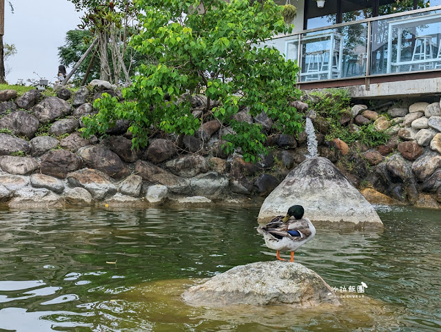 互動綠舞最新萌寵梅花鹿、品嚐無菜單料理、體驗大正文青袴和洋浪漫 9 互動綠舞最新萌寵梅花鹿、品嚐無菜單料理、體驗大正文青袴和洋浪漫