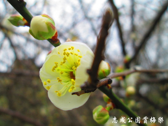 IMG_5684.jpg IMG_5684.jpg