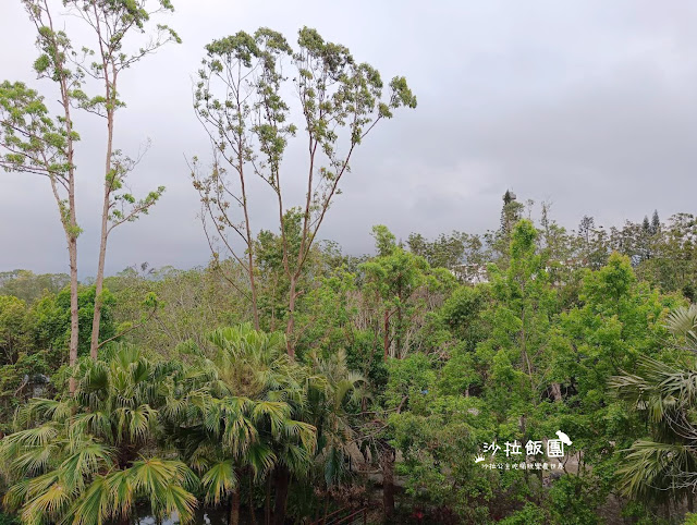 台東池上住宿『日暉國際渡假村』親子飯店 17 台東池上住宿『日暉國際渡假村』親子飯店