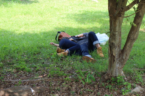 IMG_1168.jpg IMG_1168.jpg