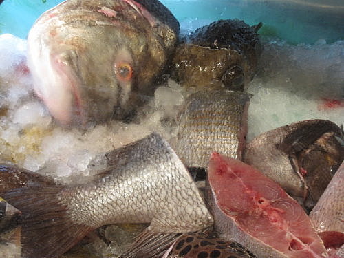 阿利海產【墾丁】 18 阿利海產【墾丁】