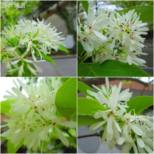 台北自來水源區「公館站」 28 台北自來水源區「公館站」