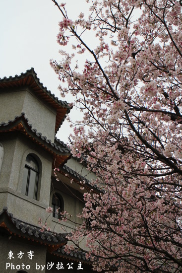 IMG_7037.jpg IMG_7037.jpg