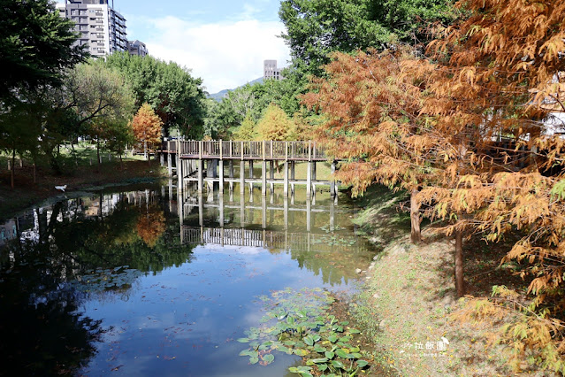 北投奇岩一號公園、落羽松、共融式兒童遊樂場、生態池 14 北投奇岩一號公園、落羽松、共融式兒童遊樂場、生態池