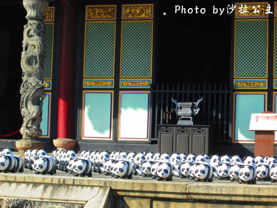 IMG_7355.jpg IMG_7355.jpg