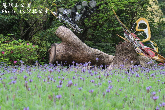 IMG_7064.jpg IMG_7064.jpg