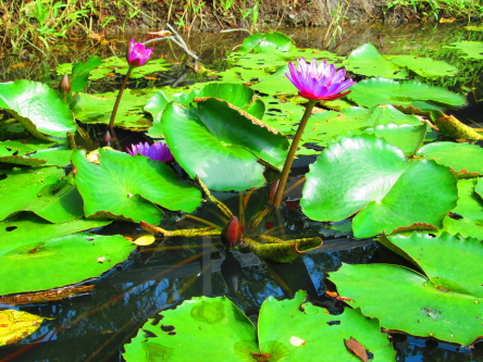 IMG_2652.jpg IMG_2652.jpg