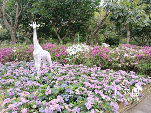 大安森林公園杜鵑花季、繡球花、鋼彈機器人 16 大安森林公園杜鵑花季、繡球花、鋼彈機器人
