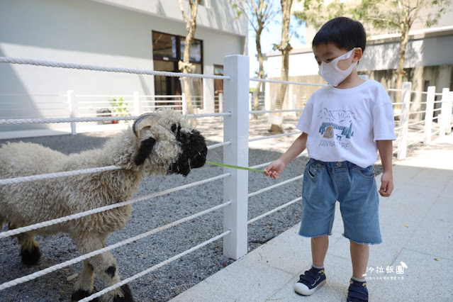 宜蘭最新玻璃屋咖啡廳『黑RURU CAFE』超萌笑笑羊可愛指數爆棚 31 宜蘭最新玻璃屋咖啡廳『黑RURU CAFE』超萌笑笑羊可愛指數爆棚