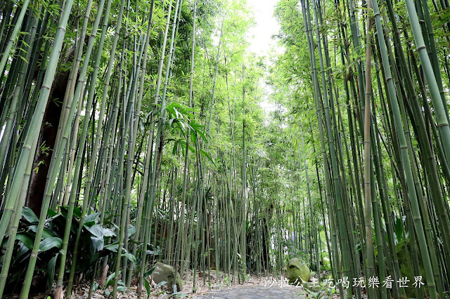 中信卡帶您認識不一樣的台灣!飯店住宿.美食餐廳.購物.交通.優惠好行攻略篇.士林一日遊懶人包 44 中信卡帶您認識不一樣的台灣!飯店住宿.美食餐廳.購物.交通.優惠好行攻略篇.士林一日遊懶人包