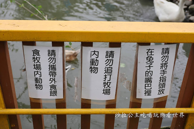 宜蘭員山景點『可達羊場』免門票.百元就可以餵羊.兔子.鴨子.親子景點 26 宜蘭員山景點『可達羊場』免門票.百元就可以餵羊.兔子.鴨子.親子景點