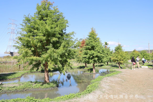 台中落羽松.后里泰安落羽松秘境『羽粼落羽松』裝置藝術像走到畫裡 35 台中落羽松.后里泰安落羽松秘境『羽粼落羽松』裝置藝術像走到畫裡