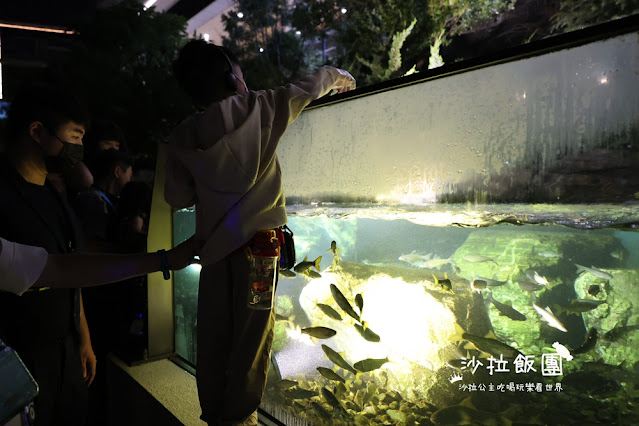 全台最頂級夜宿水族館!桃園和逸Blu Night宿海奇遇》Xpark住一晚 63 全台最頂級夜宿水族館!桃園和逸Blu Night宿海奇遇》Xpark住一晚