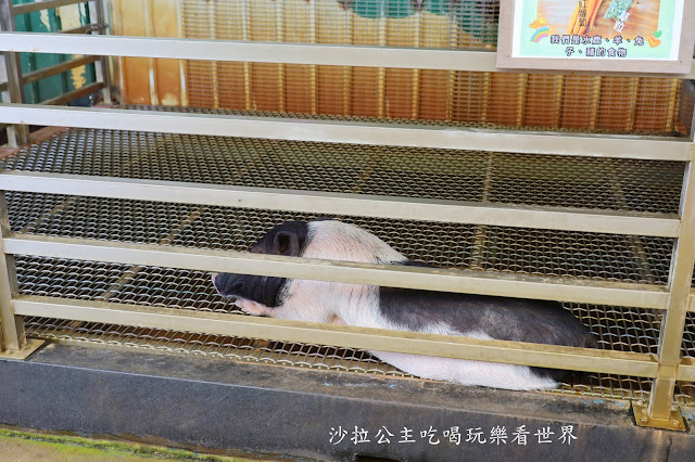 宜蘭礁溪景點『水鹿咖啡親子餐廳』迷你馬.水鹿.沙坑.小火車.賽車場.菜單 40 宜蘭礁溪景點『水鹿咖啡親子餐廳』迷你馬.水鹿.沙坑.小火車.賽車場.菜單