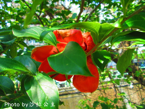 IMG_7088.jpg IMG_7088.jpg