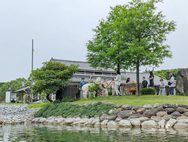 互動綠舞最新萌寵梅花鹿、品嚐無菜單料理、體驗大正文青袴和洋浪漫 64 互動綠舞最新萌寵梅花鹿、品嚐無菜單料理、體驗大正文青袴和洋浪漫