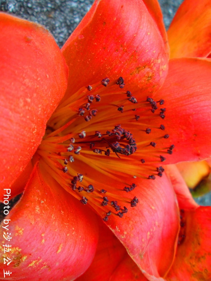 IMG_7089.jpg IMG_7089.jpg