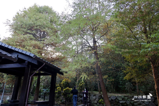 南港人的小秘境『麗山農民廣場-麗山公園』落羽松、雙心跳石 11 南港人的小秘境『麗山農民廣場-麗山公園』落羽松、雙心跳石