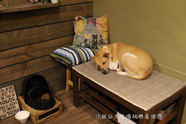 『Together Cafe』永康街人氣餐廳插旗士林/士林美食/咖啡店/異國料理/聚餐推薦 15 『Together Cafe』永康街人氣餐廳插旗士林/士林美食/咖啡店/異國料理/聚餐推薦