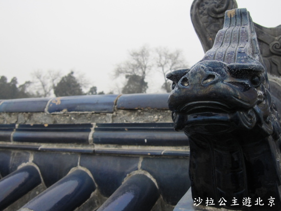 IMG_7976.JPG IMG_7976.JPG