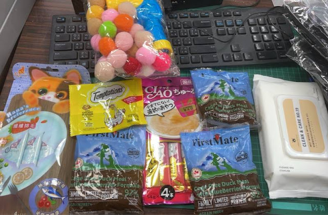 【寵物住宿】寵物友善飯店,毛小孩也要爽爽住 14 【寵物住宿】寵物友善飯店,毛小孩也要爽爽住