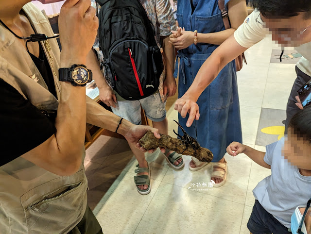 嘉義親子景點『新嘉大昆蟲館』全球唯一旋轉彩蝶柱、蝴蝶溫室花園 27 嘉義親子景點『新嘉大昆蟲館』全球唯一旋轉彩蝶柱、蝴蝶溫室花園