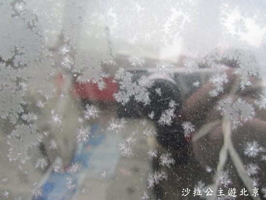 IMG_7908.JPG IMG_7908.JPG