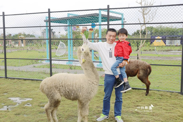 宜蘭景點『星夢森林劇場』水豚、草泥馬、梅花鹿、民宿、網美打卡景點