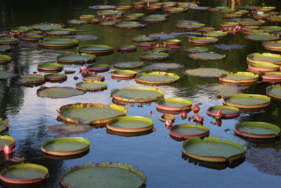 IMG_1239.jpg IMG_1239.jpg