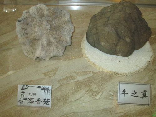 海悅大飯店【澎湖】 8 海悅大飯店【澎湖】