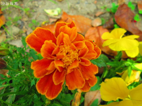 台北自來水源區「公館站」 30 台北自來水源區「公館站」