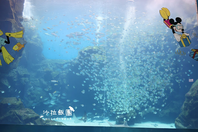全台最頂級夜宿水族館!桃園和逸Blu Night宿海奇遇》Xpark住一晚 103 全台最頂級夜宿水族館!桃園和逸Blu Night宿海奇遇》Xpark住一晚